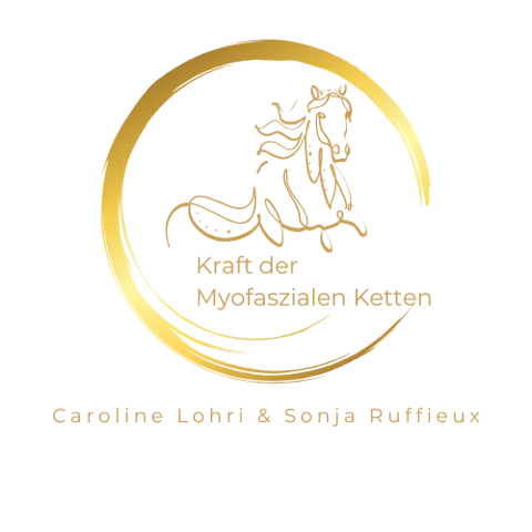 myofaszialen Ketten