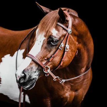 Bitless Bridle "WESTERN LEATHER DELUXE" – Bild 2