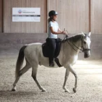 easy-to-horse riding-academic art of riding-2