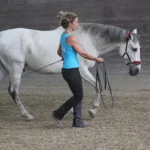easy-to-horse riding-academic art of riding-4
