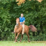 1000006----EE-1000-006-0-Reiten-mit-dem-Halsring-----Einzelunterricht_1