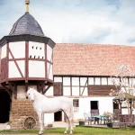 10010120-1001-0120-0-Pferdekommunikation-im-Round-Pen-auf-dem-Gut-Drebsdorf--Suedharz-