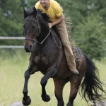 1001050-1001-050-001-Einfuehrungskurs--Gebissloses-Reiten--_2