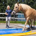 999108416-NEW-16208-Equigym---mit-Alexandra-Schmid