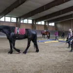 999108422-NEW-16538-Fuehrtraining Interlaken