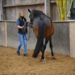 999108427-NEW-16629-1-Tageskurs--Longentraining