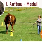 Babette-Teschen-Online-Kurse-Modul-1-online