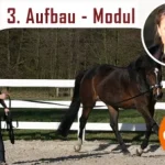 Babette-Teschen-Online-Kurse-Modul-3-online