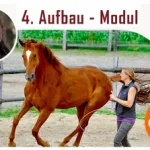 Babette-Teschen-Online-Kurse-Modul-4-online