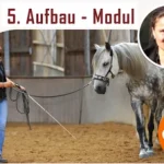 Babette-Teschen-Online-Kurse-Modul-5-online