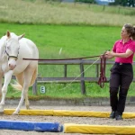 Dual_IMG_1868_(c)JessicaFreymark