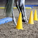 Equi-1-1500x1500