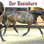 Longenkurs-Basiskurs-englisch-babette-teschen-452x271