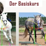 Online-Longenkurs-new-2