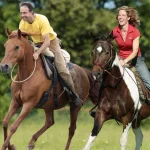 Platzhalter-externer-Kurs