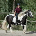 Reiten_IMG_2342_(c)JessicaFreymark