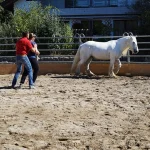 Round-Pen-4-quadratisch-500x500