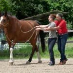 SEIL_IMG_0999_(c)JessicaFreymark