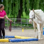 Webversion_IMG_1761_(c)JessicaFreymark