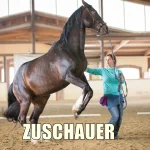 Zuschauerkurs Anna Eichinger