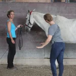 einfach-reiten-akademische-reitkunst-3