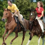 gebisslos-reiten-horsemanship