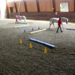 equikinetic-4