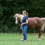 fuehrtraining-2