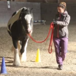 fuehrtraining-3