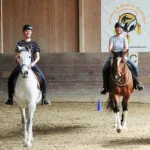 gebisslos-reiten-horsemanship-2