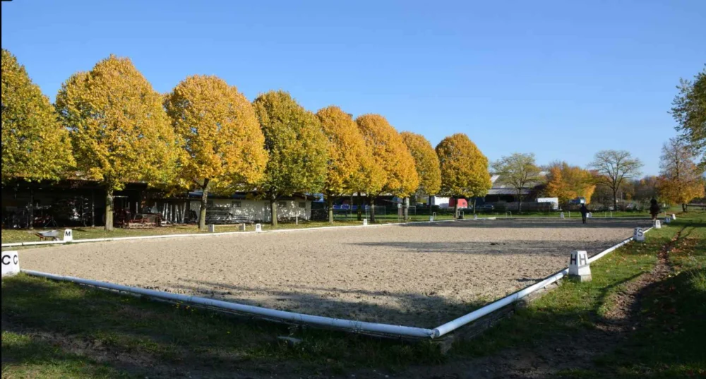 Reitclub 99 e.V.