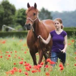 jugendcamp-reiten-horsemanship-3