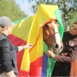 lehrgang-bodenarbeit-und-horsemanship-tz-9