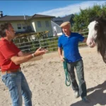 pferdegestuetztes-firmencoaching-4