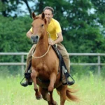 reiten-mit-dem-halsring