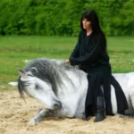 horse-riding-like-a-stunt-rider-6