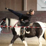 horse-riding-like-a-stunt-rider-7