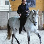 the bitless art of riding-2